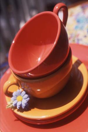 リアルドールを自宅に揃える男性が増加